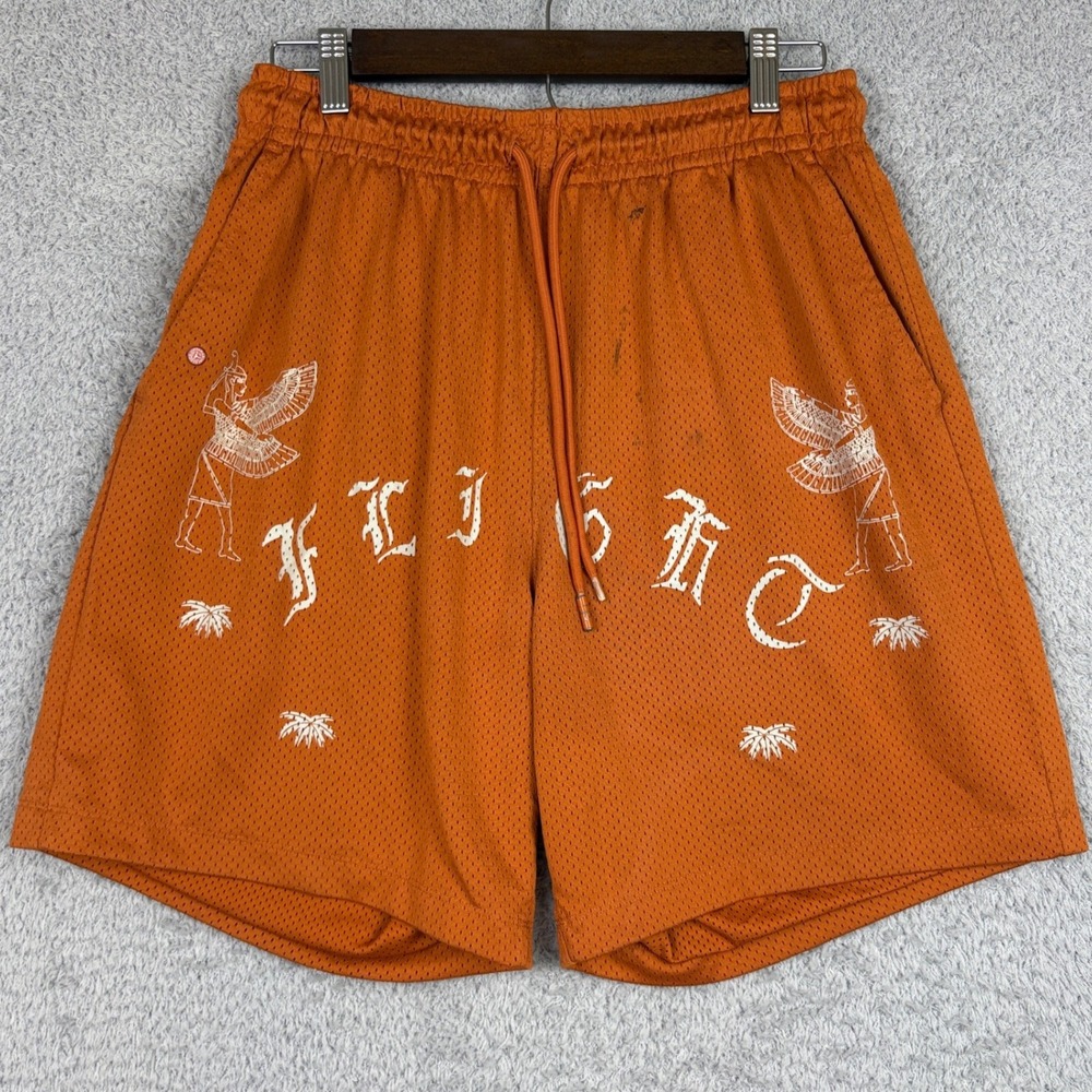 Jordan Shorts Mens Large Orange Flight Graphic Mesh Artist Series Streetwear
